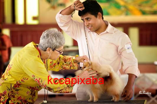 Clique sobre a foto para fechar